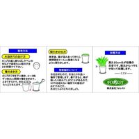 フォレスト カップサラダ水菜 1セット入 4582255218349 1個（直送品）