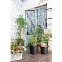 大和プラスチック グロウコンテナオーバル 25型 ブラック 4903266729233 1個（直送品）