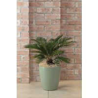 アップルウェアー ラスターポット 300型 オリーブグリーン 4905980123304 1個（直送品）