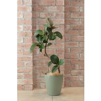 アップルウェアー ラスターポット265型 オリーブグリーン 4905980123205 1個（直送品）