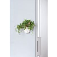 リッチェル デコレア マグネットポット 8 ホワイト 4973655706848 1個（直送品）