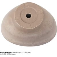 リッチェル ボタニーバルカボール20型 ベージュ 4973655748022 1個