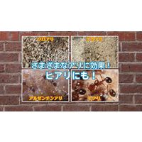 住友化学園芸 アリアトール粉剤　1.1kg 4975292603764 1個