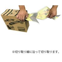 シーバイエス 吸水シート Zorba(ゾルバ) 6001469 1箱(50枚) 4-1977-01