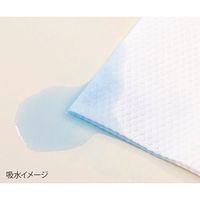 アズワン キャッチワイプ 高吸収エンボスワイパー 85g 50枚入 A85 1袋(50枚) 4-1304-03（直送品）