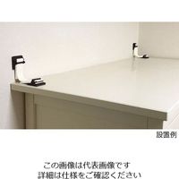 アズワン 転倒防止ベルト 2本入 AH-902K 1パック(2本) 4-2387-01（直送品）