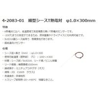 アズワン 熱電対データロガー(センサー付) シース型センサー(超低温) RX-450TSC 1セット 4-2084-04（直送品）