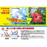 アスカ ラミネートフィルム UVカット仕様 A3 100枚 F4004 1箱