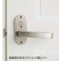 ストア・エキスプレス 木製フィッティングルーム ドアタイプ ラスティック 2284-1315 1本（直送品）