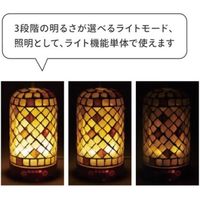 キシマ カレード ライティングアロマディフューザー GREEN LEAF KL-10373 1個（直送品）