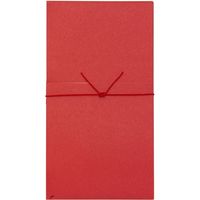 デザインフィル 金封 お祝 茜 結び紐柄 1枚入（中袋付） 25283006 1セット（3パック）