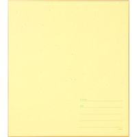 カラー色紙 シール18枚付 半透明 タイトル 緑 33255006 1セット（2枚） デザインフィル（直送品）