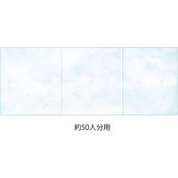 デザインフィル カラー色紙 三つ折り リボン付き 鳥柄 33257006 1枚