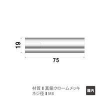 ファースト ポピック かざりビス2本セット ナットタイプ n019n75-2 1セット(2本)（直送品）