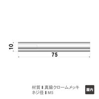 ファースト ポピック かざりビス4本セット ナットタイプ no10n75-4 1セット(4本)（直送品）