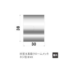 ファースト ポピック かざりビス2本セット ナットタイプ no38n30-2 1セット(2本)（直送品）