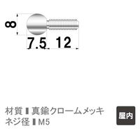 ファースト ポピック かざりビス10本セット 球型ボルトタイプ no8mb8-10 1セット(10本)（直送品）