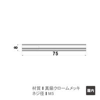 ファースト ポピック かざりビス4本セット ナットタイプ no8n75-2 1セット(4本)（直送品）