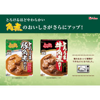 ハウス食品 とろうま牛角煮カレー＜中辛＞ 200g 1セット（3個）