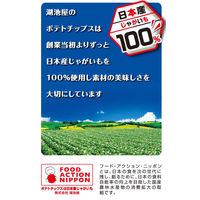 湖池屋 お徳用サイズ ポテトチップス うすしお味 126g 2袋