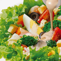 コブサラダドレッシング 480ml 2本 マコーミック ユウキ食品