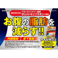 井藤漢方製薬 ナイシダウン 60粒 1個