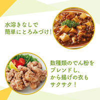 日清製粉ウェルナ 日清 水溶きいらずのとろみ上手 (100g) ×1個