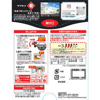 ヤマモリ タイカレー パネーン 160g 1セット（3個）