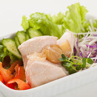 内野家 国産鶏 サラダチキン（長ネギ＆生姜） 100g 1セット（10個）