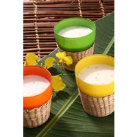 日仏貿易 ココナッツミルク プレミアム 140ml 1セット（3個）