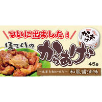 ホテイフーズ からあげ和風醤油味 1セット（6個）