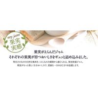 明治屋 果実実感 ざくざくオレンジマーマレード 340g 3個