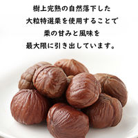 神光商事 大袋樹上完熟の甘栗 1セット（2袋） 【大袋】