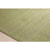 スミノエ HOMERUG Caruruカルル 抗菌・抗ウィルスラグ タイプフォー 1100×1300mm グリーン 1枚（直送品）