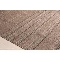 スミノエ HOMERUG Caruruカルル 抗菌・抗ウィルスラグ タイプフォー 2200×2500mm ブラウン 1枚（直送品）