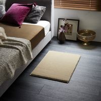 スミノエ BIGSIZZERUG 消臭・防炎マット スミトロンサキソニー 500×800mm ベージュ 1枚（直送品）