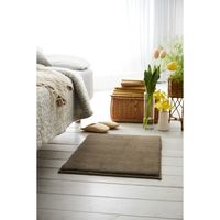 スミノエ BIGSIZZERUG 消臭・防炎マット スミトロンサキソニー 500×800mm ブラウン 1枚（直送品）