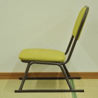 エイ・アイ・エス 楽座椅子 ロータイプ グリーン RCL-03GN-4PCS 1セット(4脚入)（直送品）