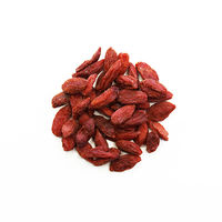 薬日本堂 nuクコの実 55g 1袋