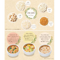 ひかり味噌 5種の穀物と野菜を食べるスープ30食 2袋