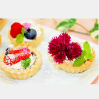 共立食品 プチタルト 1袋 製菓材 手作り