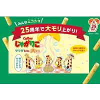 カルビー じゃがりこサラダbits大モリ 103g 6袋 スナック菓子