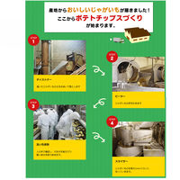 山芳製菓 ポテトチップス 男気わさビーフ 100g 6袋 スナック菓子