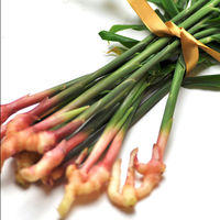 金時生姜もろみ黒酢3ヶ月分 1セット（186粒×2個） ユニマットリケン サプリメント