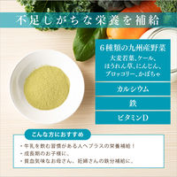 新日配薬品 骨&鉄青汁 3個（15包入） 青汁