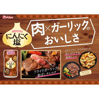 ハウス食品 にんにく塩 230g 1個