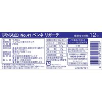日清製粉ウェルナ ディ・チェコ No.41 ペンネリガーテ（250g） ×24個