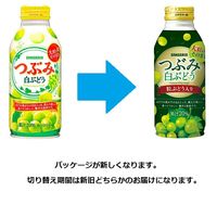 サンガリア つぶみ白ぶどう 380gボトル缶 1箱（24缶入）
