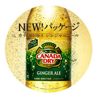コカ・コーラ カナダドライ プレミアジンジャーエール 380ml 1箱（24本入）