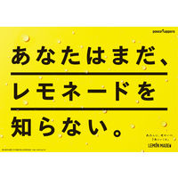 ポッカサッポロ LEMON MADE オリジナルレモネード 500ml 1箱（24本入）